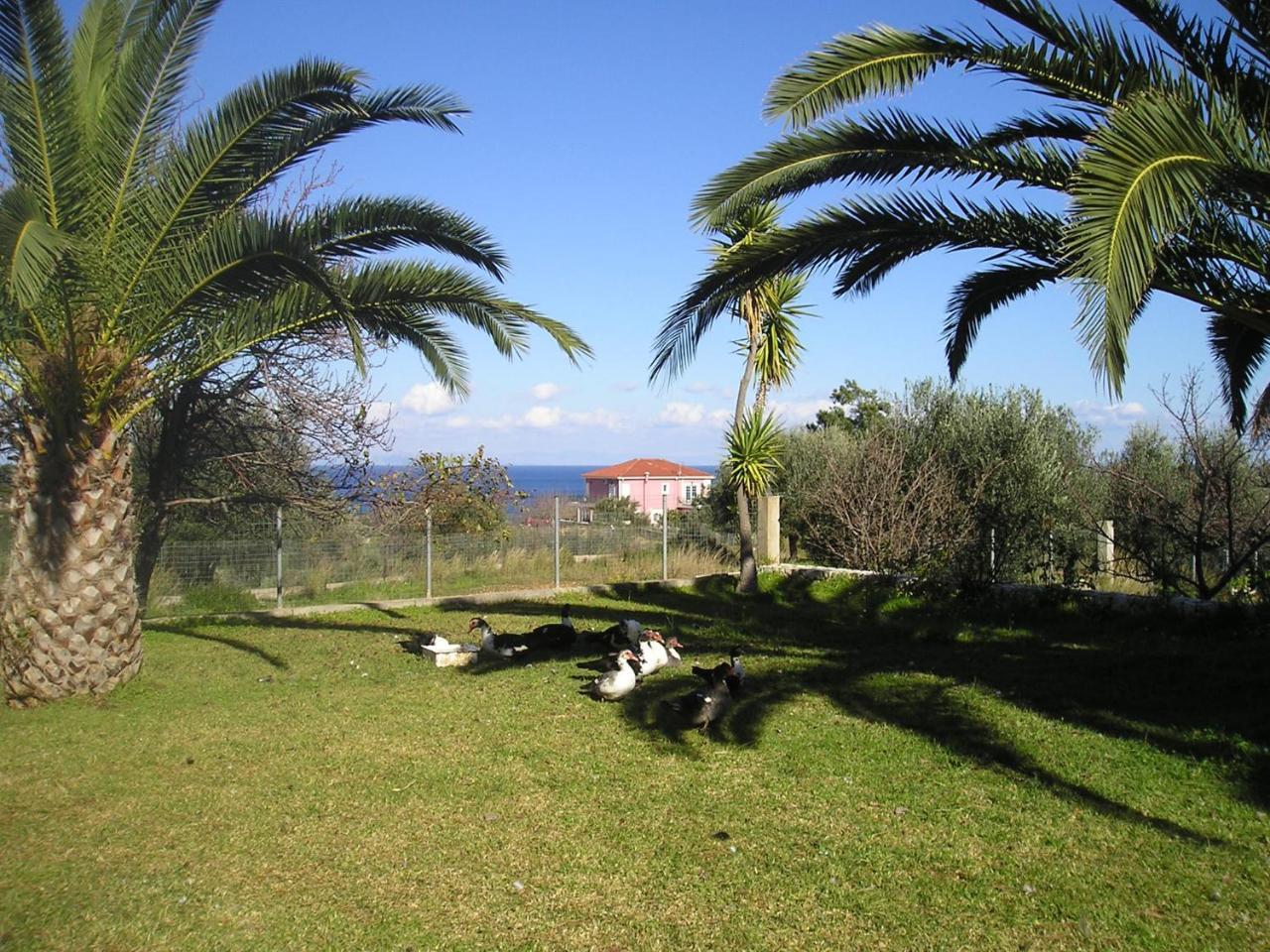 Skala  Nikolaos Studios Skala المظهر الخارجي الصورة
